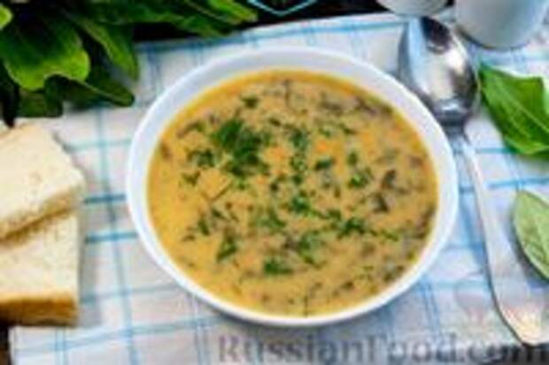 Фото к рецепту: Чечевичный суп-пюре со щавелем, на курином бульоне