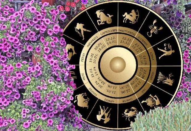 Ежедневный гороскоп на 28 мая 2024 года для всех знаков зодиака