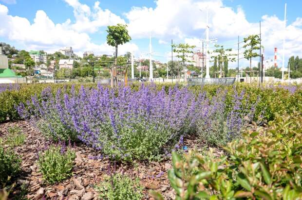 Мэр Воронежа предложил горожанам поделиться идеями, чем дополнить Петровскую набережную Мэр Воронежа предложил горожанам поделиться идеями, чем дополнить Петровскую набережную