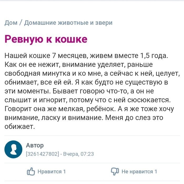 Чувство ревности у представительниц слабого пола в крови Чувство ревности у представительниц слабого пола в крови