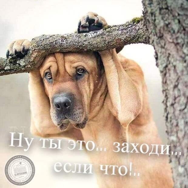 Заходи