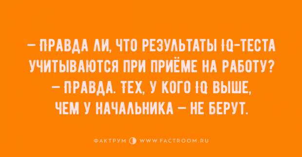 Топ 10 прикольных анекдотов, над которыми вы будете хихикать без передышки