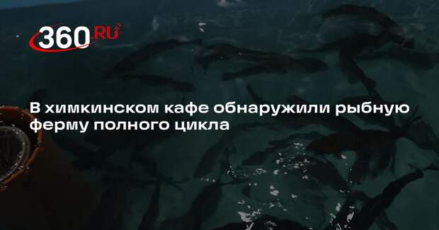 В химкинском кафе обнаружили рыбную ферму полного цикла