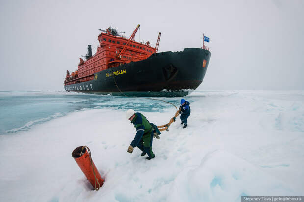 Круиз на Северный полюс на ледоколе
