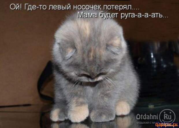 Похожее изображение