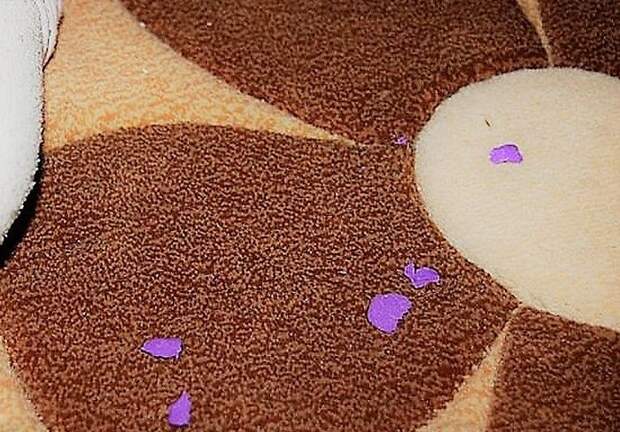 5 способов, как удалить пластилин с ковра и не повредить ворсинки