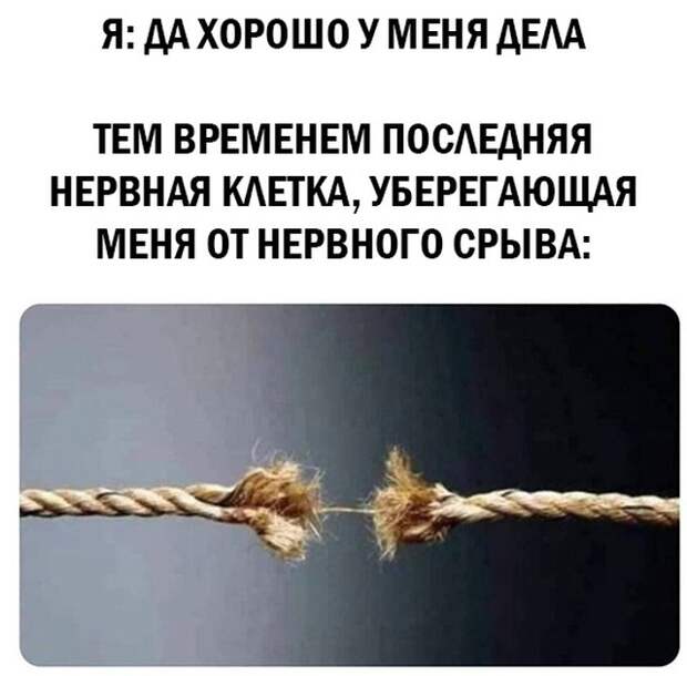 Смешные картинки 31 марта 2021