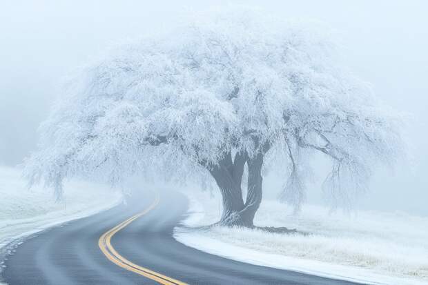 Народные приметы на 31 декабря. Что возбраняется делать в канун Нового года