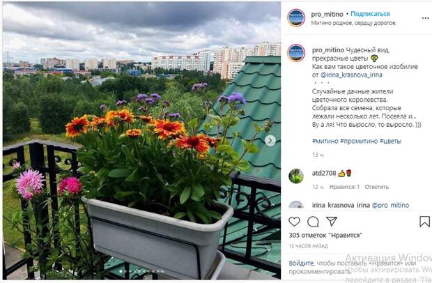 Фото дня: вид из балкона с астрами