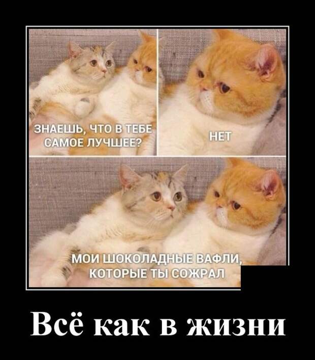 Демотиваторы (20 фото)