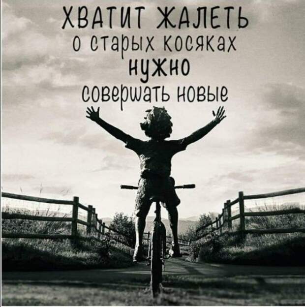 Всяческие картинки