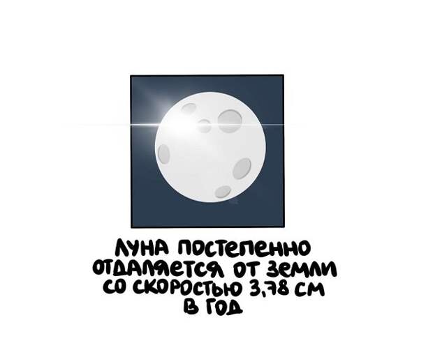Короткие и интересные факты на все случаи жизни