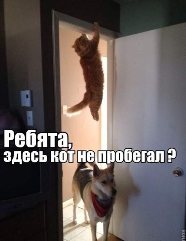 Давайте улыбаться вместе