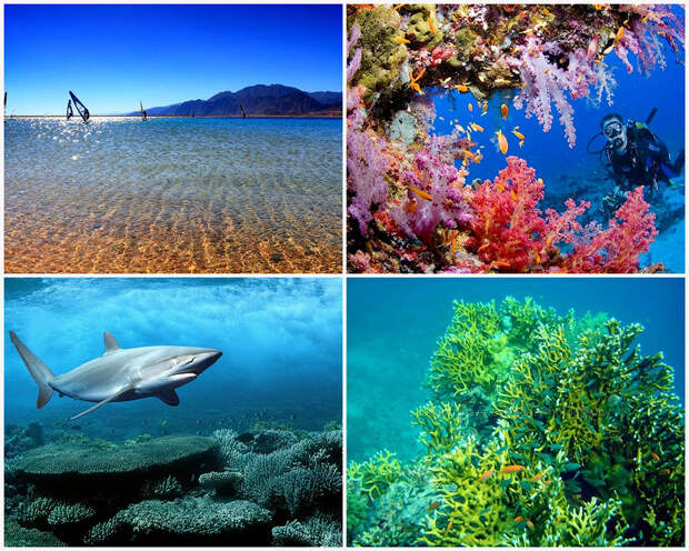 10 фактов о Красном море