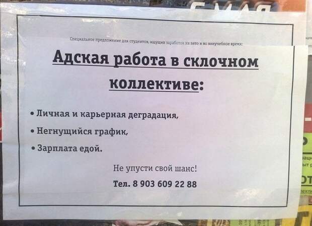 Прекрасная вакансия прикол, честность, юмор