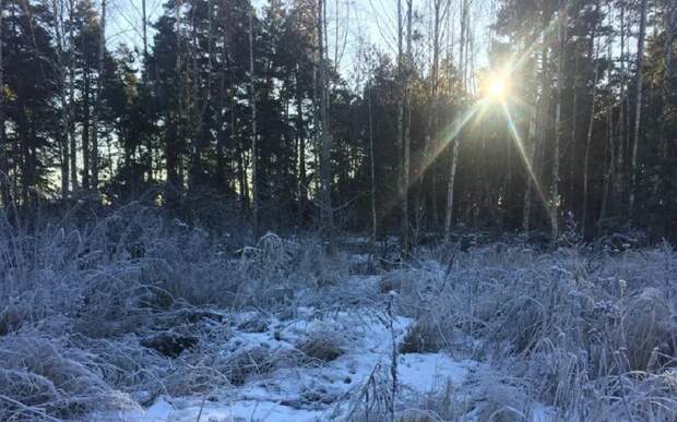 В Рязанской области 25 ноября ждут гололедицу и до -5°С