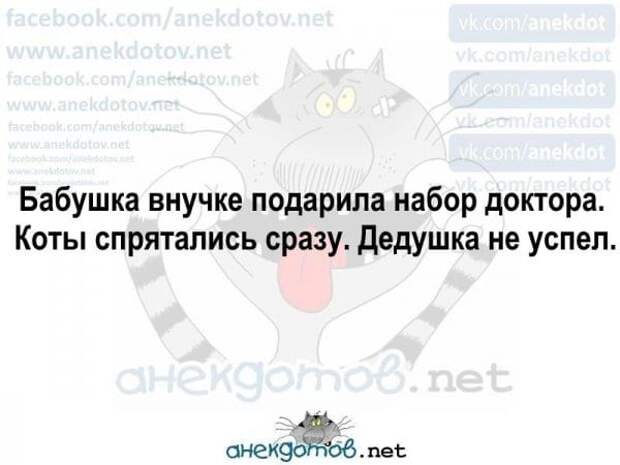 Из жизни садоводов и дачников