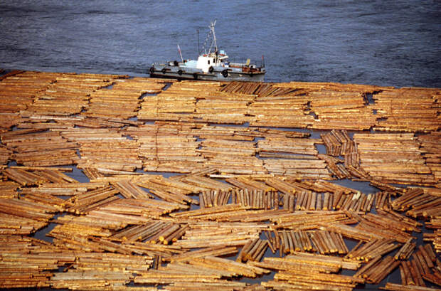 Без дерева никак. ¦Фото: e-river.ru. Без дерева никак. ¦Фото: e-river.ru.