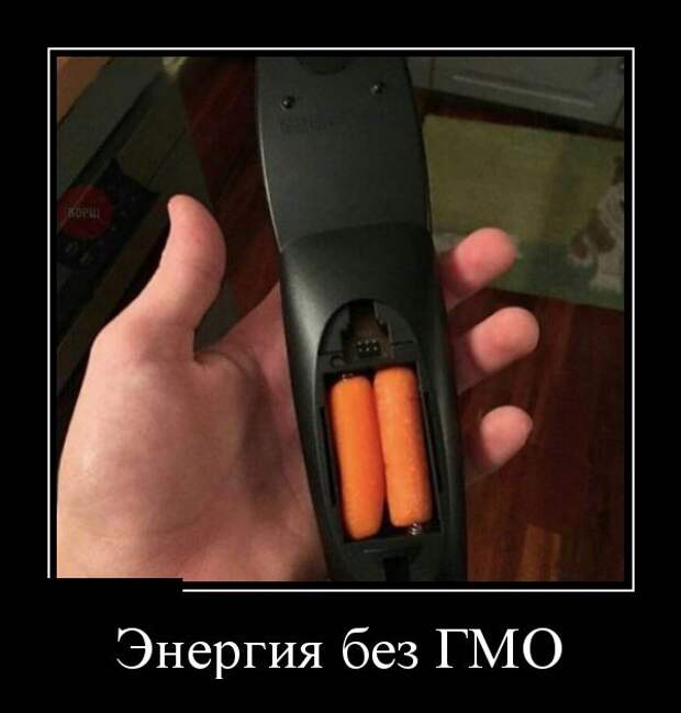 Демотиваторы (30 фото)