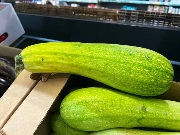 Сыплю 2 грамма на ведро и забыл про гниль: мой секрет урожайных кабачков