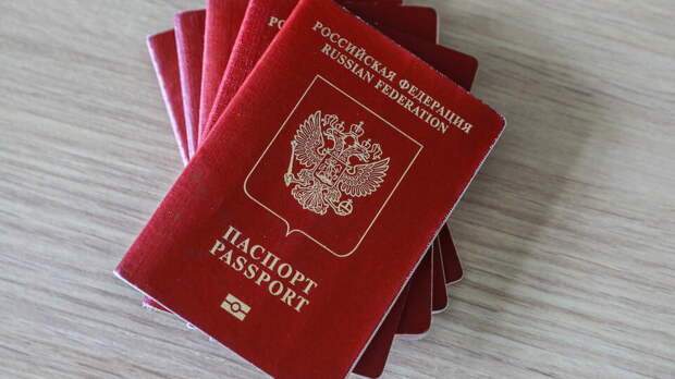 ФРГ и Румыния перестали признавать загранпаспорта РФ без биометрии с 1 января