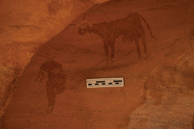 JEA: в суданской пустыне обнаружены 4000-летние петроглифы с пасущимися стадами