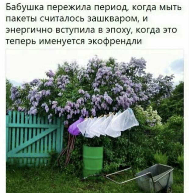 история про бабушку