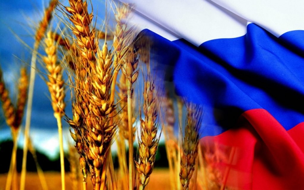 http://mcx.ru/upload/iblock/d12/d1295daa15a5931842d80c3025e27e89.jpg