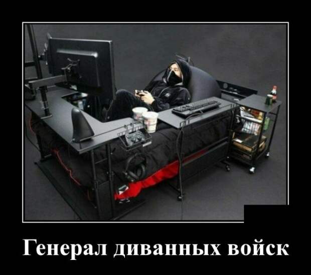 Демотиватор про диванные войска