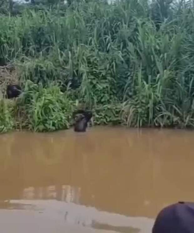 Встреча друзей