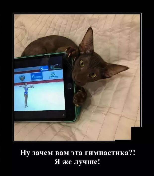 Прикольные демотиваторы с надписями. Подборка chert-poberi-dem-chert-poberi-dem-19320421092020-9 картинка chert-poberi-dem-19320421092020-9