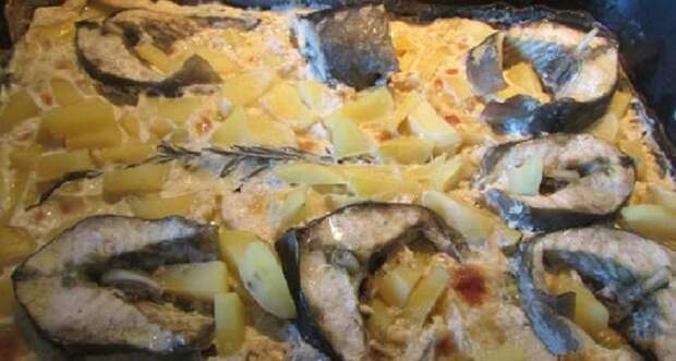 Стерлядь под сливочным соусом: царский рецепт запеченной рыбы