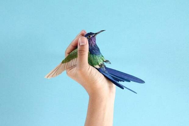 Бумажные птицы от Дианы Бельтран