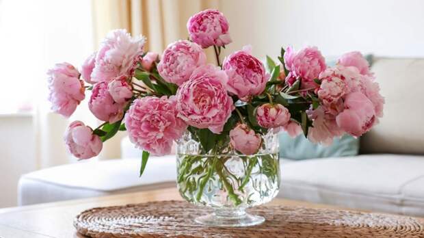 Не добавляю в воду в вазе с цветами уксус и другие народные средства: нашла то, что действительно эффективно