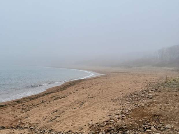 Жителей Приморья предупредили о грязном воздухе в ближайшие сутки
