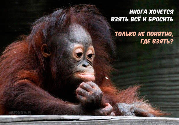 Самая веселая подборка прикольных картинок