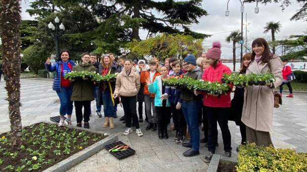На ялтинской набережной высадили 1200 саженцев виолы