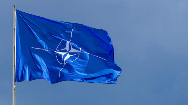 Bloomberg: в Восточной Европе предлагают расширить сеть нефтепроводов НАТО