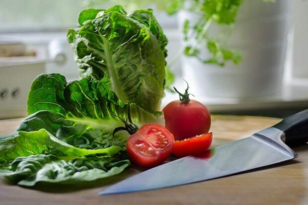 8 важных советов об уходе за кухонными ножами