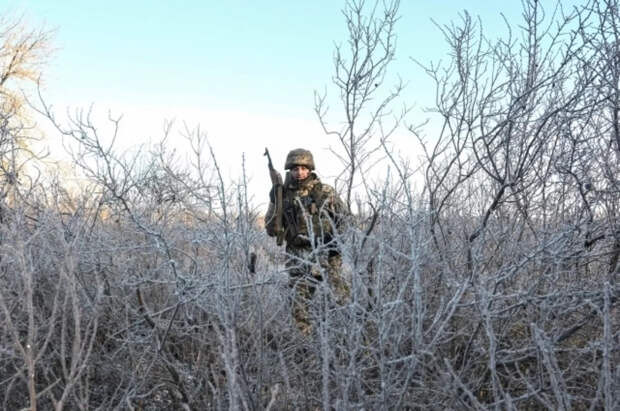 Стрелял в ноги, бил шлемом: командиры ВСУ калечат людей за посты в соцсетях