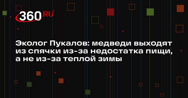 Эколог Пукалов: медведи выходят из спячки из-за недостатка пищи, а не из-за теплой зимы