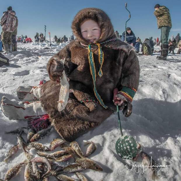 Удивительная жизнь Северо-Западной Сибири на снимках профессионального фотографа