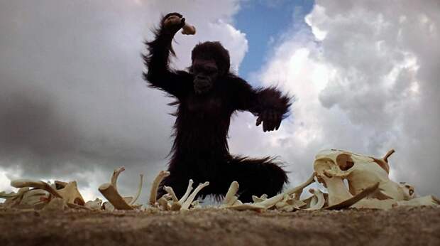 Обезьяний геноцид: что за война шимпанзе Гомбе, про которую все говорят