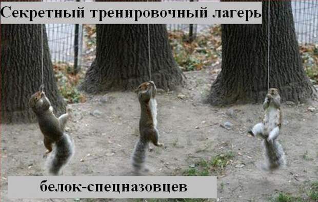 Мысли2 :) (50мыслей)