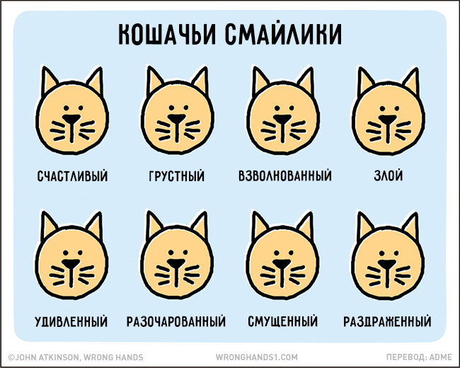Комиксы для тех, кто понимает этот сумасшедший мир (21 фото) Комиксы для тех, кто понимает этот сумасшедший мир (21 фото)