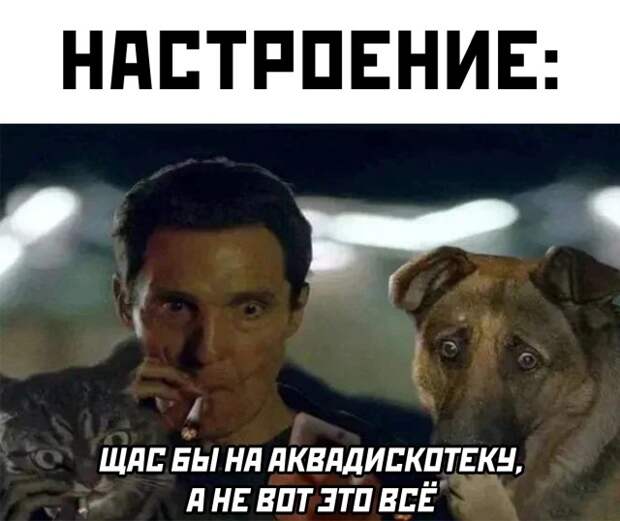 Смешные картинки вечер 21 января 2021