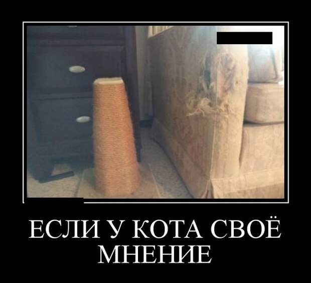 Демотиваторы (20 фото)