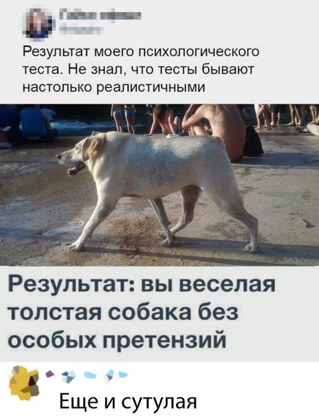 Смешные картинки ❘ 15 фото Смешные картинки ❘ 15 фото