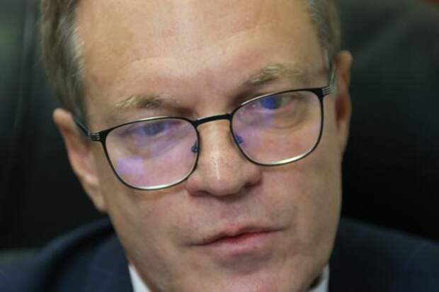 Сенатор Башкин поддержал предложение депутатов из Оренбурга усыплять бродячих животных