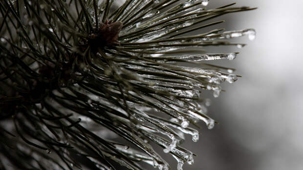 В Удмуртии ожидаются ночные морозы до -7 °С в выходные